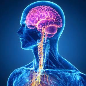 Autonomic Nervous System Scans in Lilburn Main, Lilburn Main Extension, Lilburn - Snellville, Norcross, Sandy Springs, Stone Mountain, Duluth, Clarkston, and Suwanee GA
